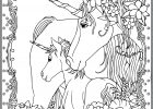 Coloriage Facile Licorne Inspirant Image Coloriage Licorne Unicorn Adulte Dessin