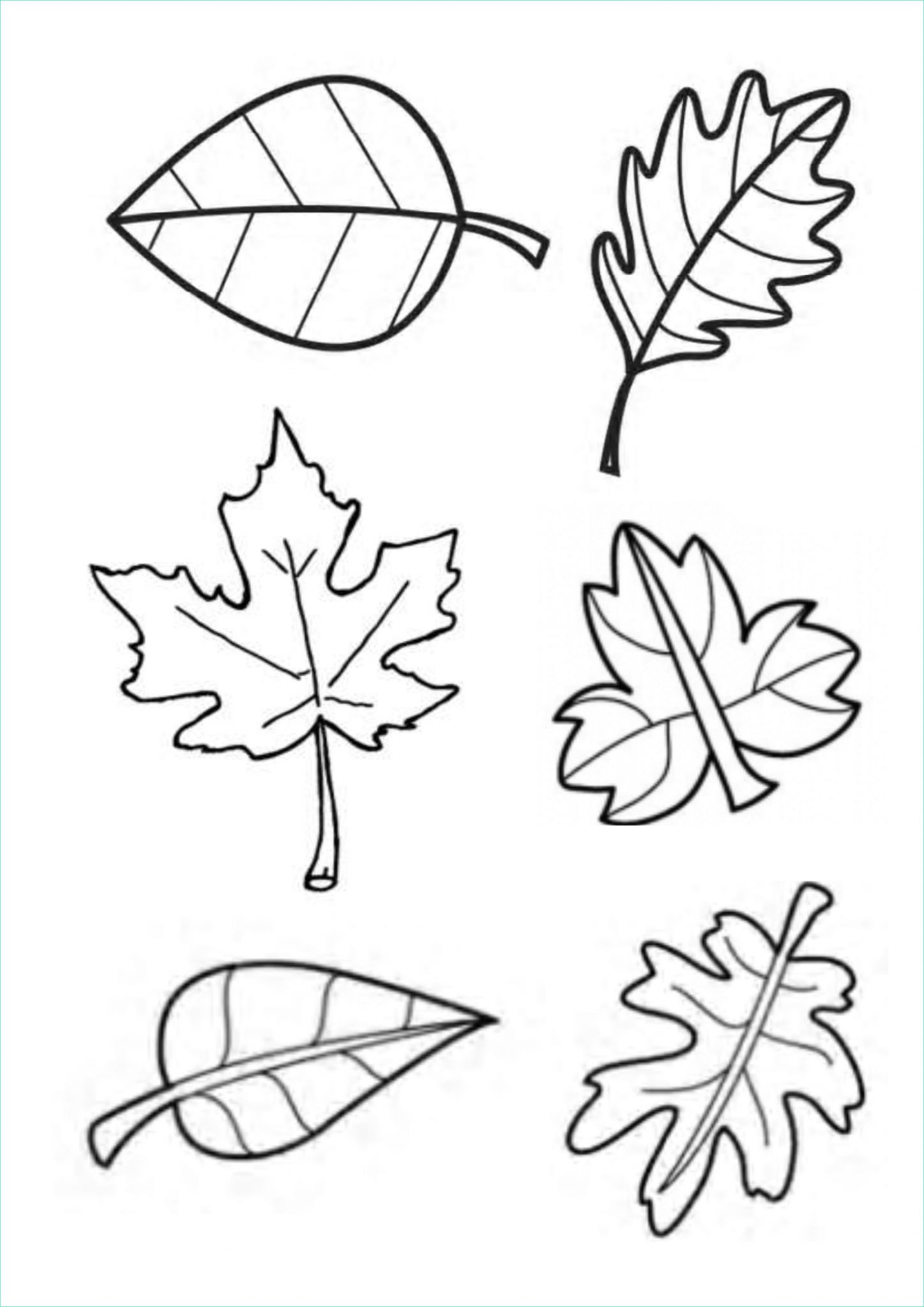 Coloriage Feuille
