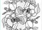 Coloriage Fruits Et Légumes Impressionnant Photos Mandala 2 Est Un Coloriage De Mandala De Fruits Et Légumes