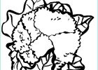 Coloriage Legumes Cool Photographie 97 Dessins De Coloriage Légumes Maternelle à Imprimer