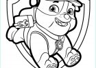 Coloriage Paw Patrol Beau Photos Paw Patrol Coloring Pages