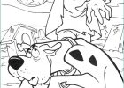 Coloriage Scooby Doo Luxe Photos 30 Free Printable Scooby Doo Coloring Pages