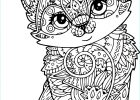 Dessin à Imprimer Chat Bestof Stock Coloriage Chat Antistress à Imprimer Sur Coloriages Fo