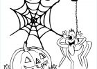 Dessin A Imprimer Halloween Unique Galerie Coloriage Araignée Halloween à Imprimer