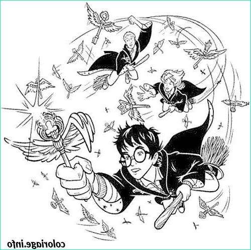 Dessin A Imprimer Harry Potter Élégant Photos Coloriage Harry Potter Jouant Au Quidditch Dessin