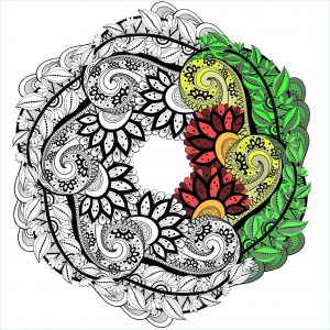 Dessin A Imprimer Mandala Disney Nouveau Images Mandalas Coloriages Difficiles Pour Adultes