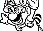 Dessin à Imprimer Mario Bestof Images Coloriage Mario toad