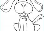 Dessin Animal Beau Photos Nos Acrostiches Suite… – Ecole Rostand Wallon…… 2019 2020