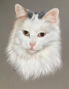 Dessin Animal Luxe Photos Dessin De Chat Cat Art Cat Drawing Cat Painting