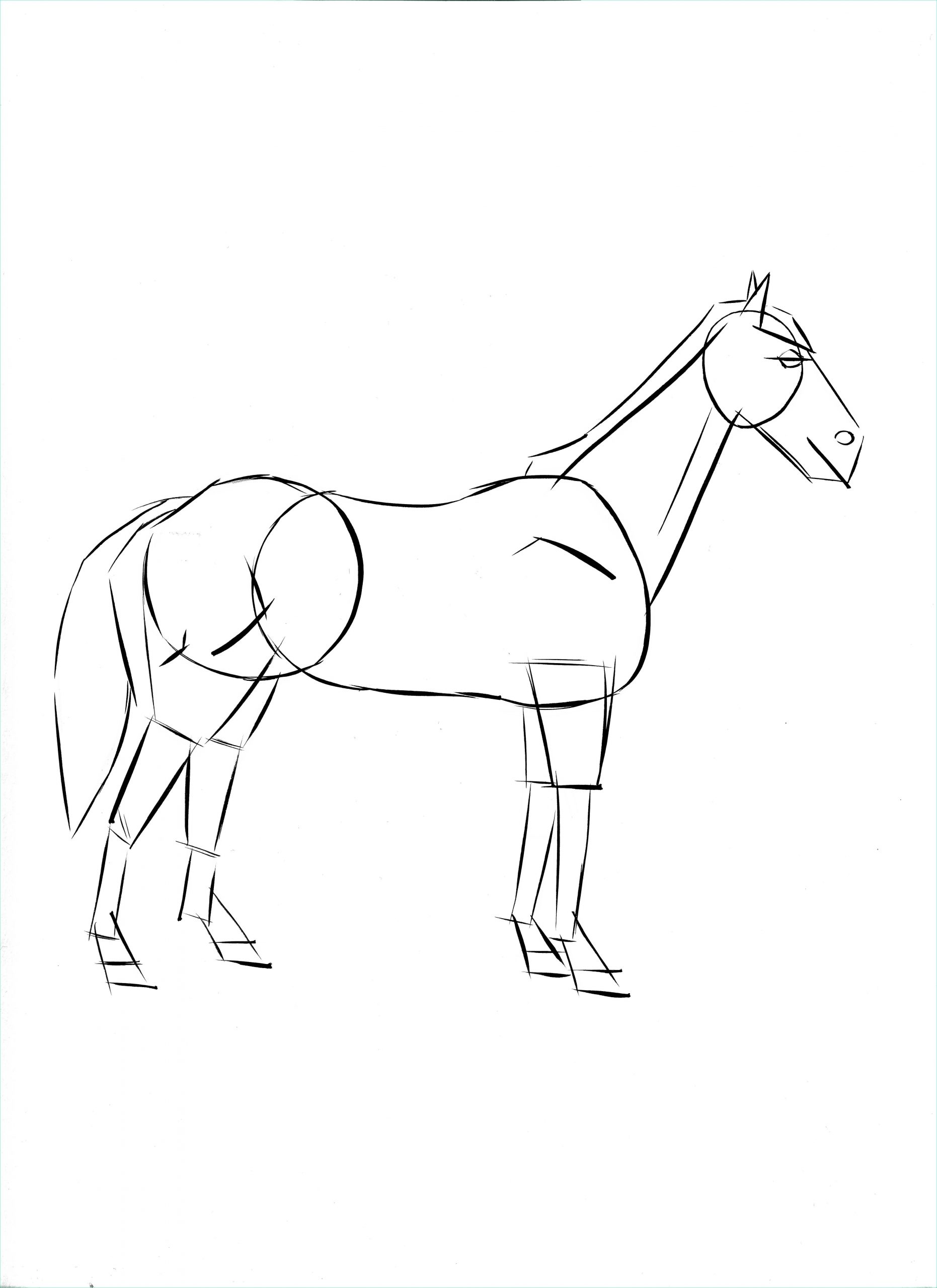 Dessin Cheval Nouveau Image Activities for Kids Drawing A Horse