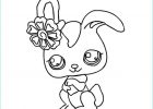 Dessin D&amp;#039;animaux Mignon A Imprimer Élégant Image Coloriage Animaux Mignon Pet Shop Lapin Dessin