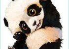 Dessin D&#039;animaux Mignon Cool Photos Bébé Panda Trop Chou Mimi Panda