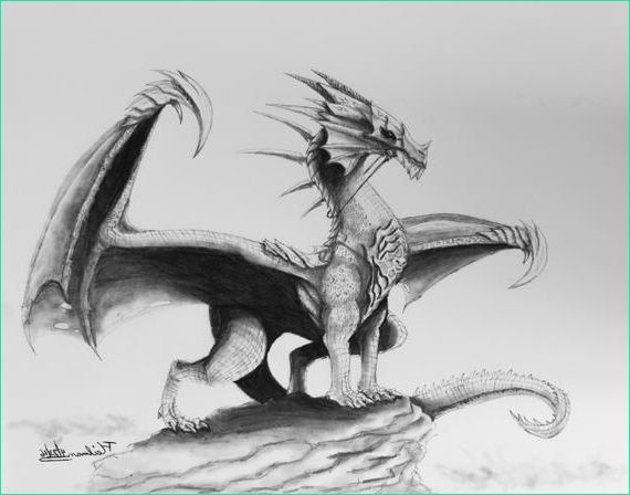 Dessin De Dragon Beau Images original Realistic Dragon Drawing In Graphite Pencil On