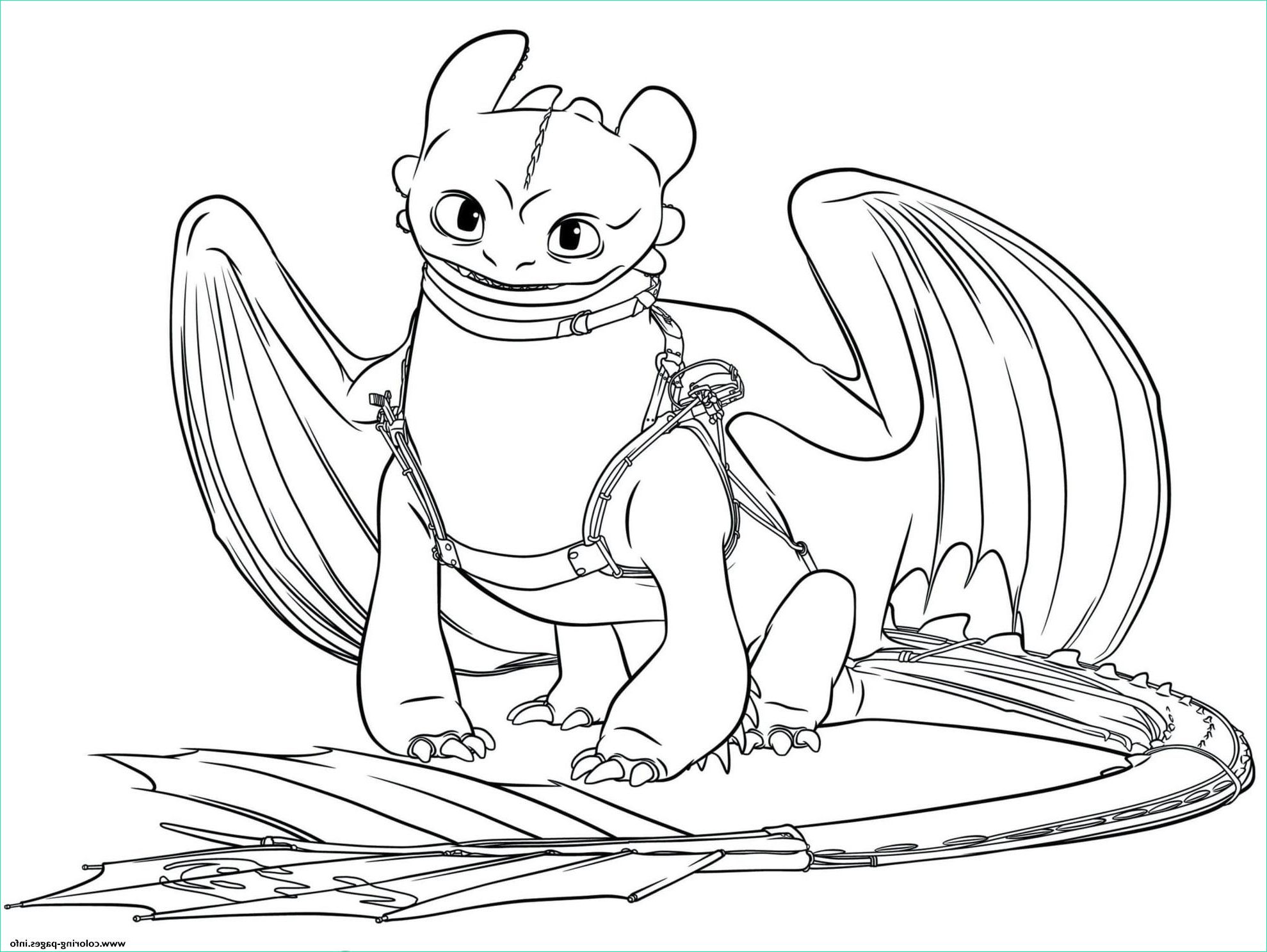 Dessin De Dragon Impressionnant Photos toothless Dragon 3 Coloring Pages Printable