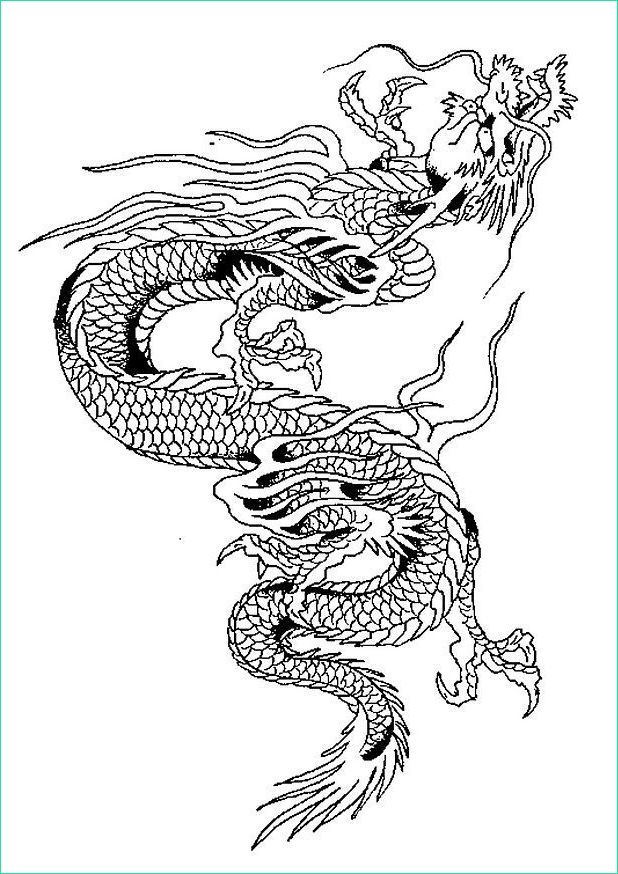 Dessin Dragon Chinois Luxe Photographie Coloriage Dragons Chinois