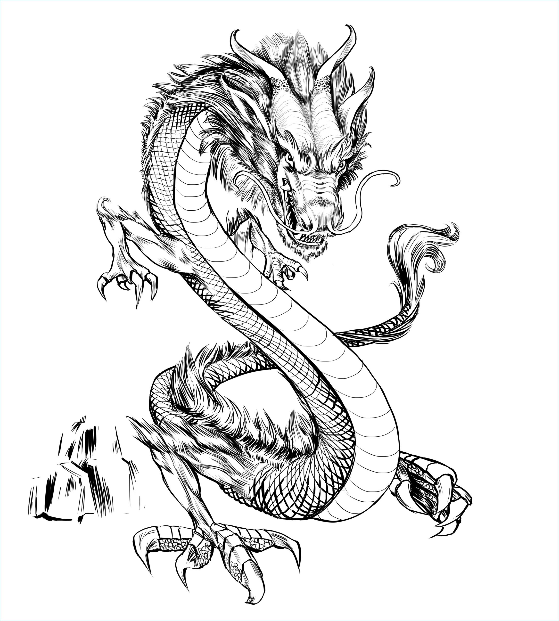 Dessin Dragon Chinois Unique Photographie Dessin Tete De Dragon Chinois