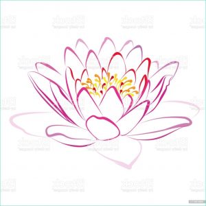 Dessin Fleur De Lotus Beau Collection Fleur De Lotus De Dessin Vectoriel – Cliparts Vectoriels