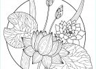 Dessin Fleur De Lotus Bestof Photographie Coloriage Magnifique Fleurs Lotus Dessin Fleurs à Imprimer