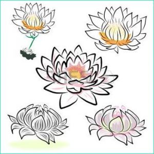 Dessin Fleur De Lotus Inspirant Photos Drawing Stock S Royalty Free Drawing