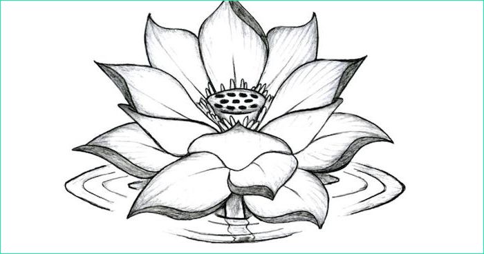 Dessin Fleur Lotus Nouveau Collection Le Tatouage Fleur De Lotus – Symbolisme Et Images Qui Le