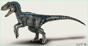 Dessin Jurassic World Élégant Photos Jurassic World Velociraptor Blue by Nikorex