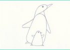 Dessin Pingouin Facile Beau Image Pingouin Dessin Facile Idées De Décoration