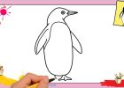 Dessin Pingouin Facile Cool Image Dessin Pingouin Facile Ment Dessiner Un Pingouin