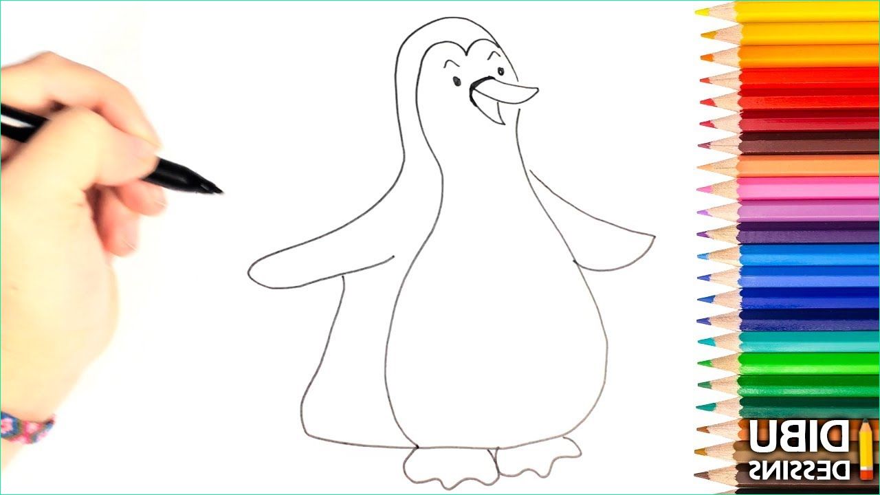 Dessin Pingouin Facile Élégant Collection Ment Dessiner Un Pingouin