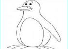 Dessin Pingouin Facile Unique Collection Coloriage Pingouin Facile Dessin