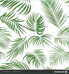 Dessins Feuilles Luxe Images Seamless Hand Drawn Tropical Pattern with Palm Leaves