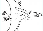 Dinosaure Volant Dessin Beau Photographie Coloriage Dinosaure Oiseau à Imprimer Sur Coloriages Fo