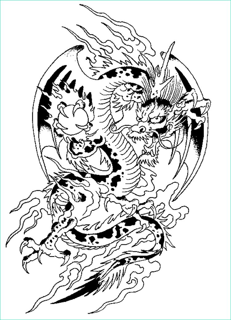 Dragon Chinois Coloriage Bestof Images Coloriages De Dragons Chinois – Kewlfr