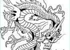 Dragon Chinois Coloriage Cool Images Coloriages De Dragons Chinois – Kewlfr