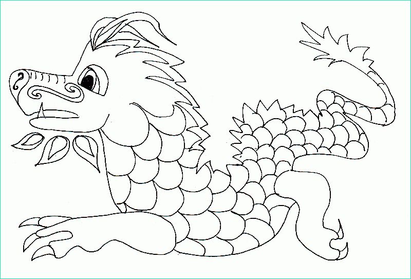Dragon Chinois Coloriage Luxe Collection Coloriage Dragon Chinois Tête à Modeler