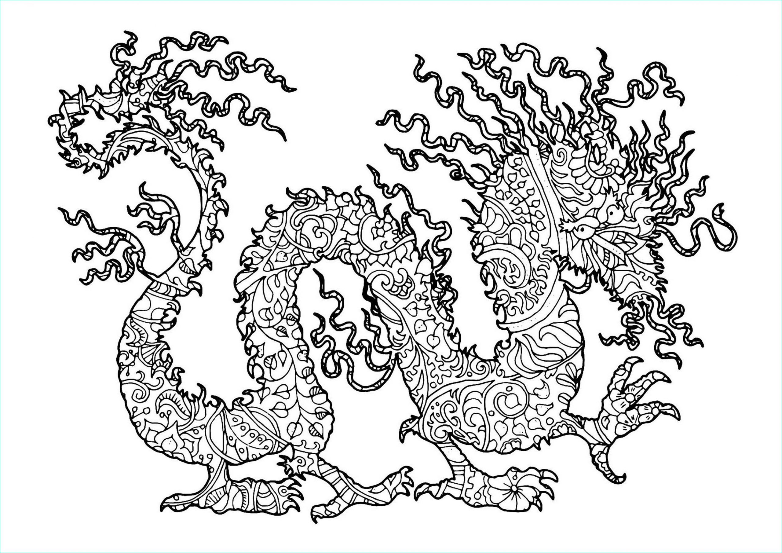 Dragons Coloriage Impressionnant Photos Dragon Plexe Dragons Coloriages Difficiles Pour Adultes
