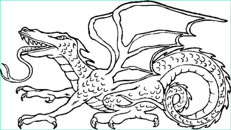Dragons Coloriage Impressionnant Stock Coloriage De Dragon Facile A Dessiner