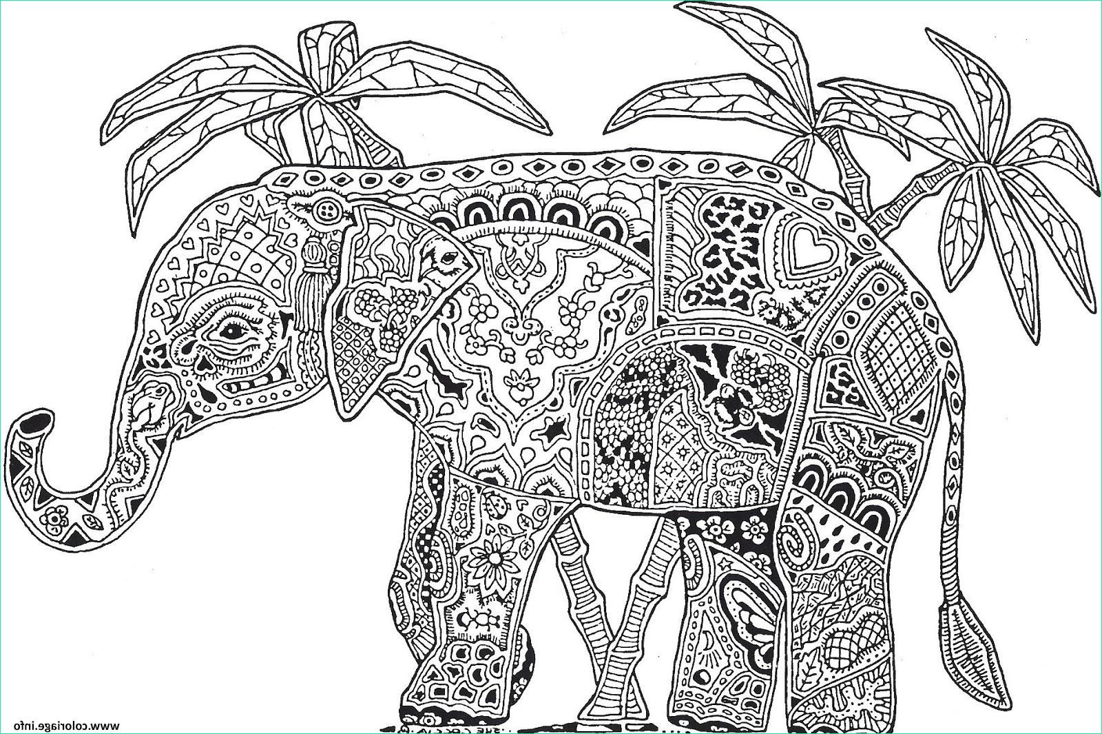 éléphant à Colorier Beau Photos Coloriage Adulte Animaux Elephant Difficile Jecolorie