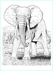 éléphant à Colorier Luxe Image Coloriage A Imprimer Elephants Dans La Savane Gratuit Et
