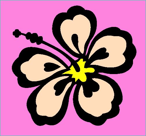 Fleur Hawaienne Dessin Beau Collection Dessin De Fleur Hawaïenne Colorie Par Membre Non Inscrit