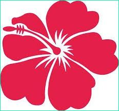 Fleur Hawaienne Dessin Impressionnant Galerie Résultat De Recherche D Images Pour &quot;fleur Hawaienne
