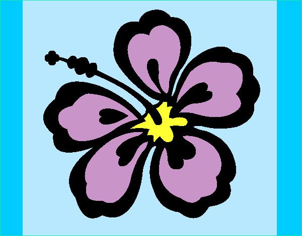 Fleur Hawaienne Dessin Inspirant Image Dessin De Fleur Hawaïenne Colorie Par Titemandy Le 30 De