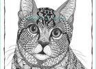 Mandala Animaux Chat Beau Photographie Cat Impressions Dessin Portraits Encre Par