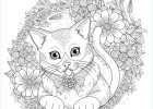 Mandala Animaux Chat Inspirant Photos Chat Entouré De Fleurs Chats Coloriages Difficiles