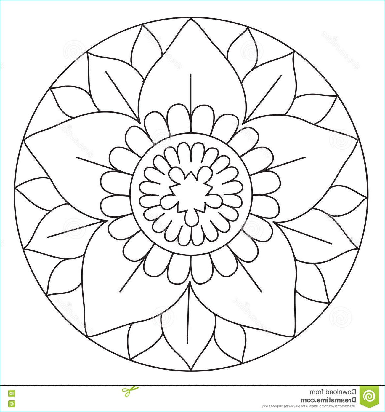 Mandala Fleur Simple Beau Images Beau Mandala De Coloration De Fleur Illustration De
