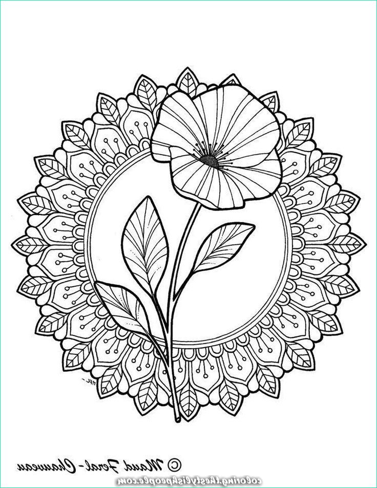 Mandala Fleur Simple Beau Images Delicate Mandala Flower Drawing by Maud Feral with Images