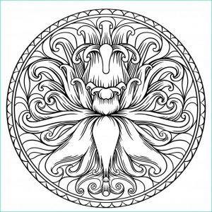 Mandala Fleur Simple Élégant Image forme Simple De Mandala Pour La Coloration Vecteur