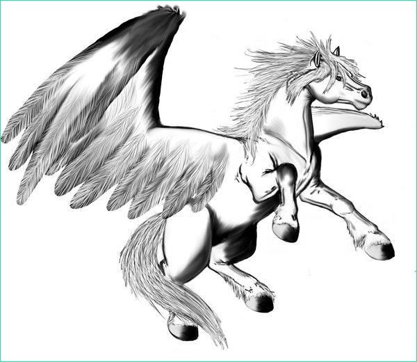 Pégase Dessin Élégant Images Kleurplaat Pegasus Afb