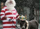 Pere Noel Rigolo Nouveau Images Costume Père Noël – Le Rouge Et Blanc sous toutes Les