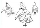 Plume Coloriage Bestof Images Coloriage Gratuit Oiseau "poids Plume" [dessin à Colorier