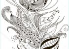 Plume Coloriage Cool Photos Drawing Peacock Feather Zentangle Style Coloring Book